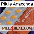 Anaconda Pill 43